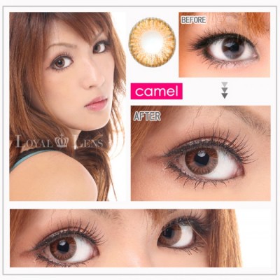 NEO Princess 3Tone N337